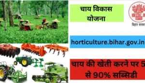 Bihar government is giving 50-90% subsidy on tea cultivation.